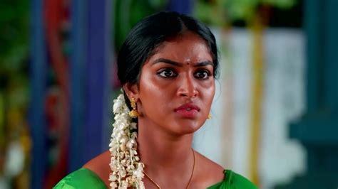 Watch Karthigai Deepam Tv Serial Th February Full Episode