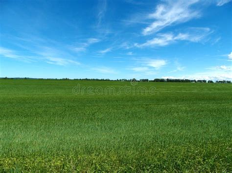 Green Grassy Farm Field Stock Photo Image Of Agriculture 32522012