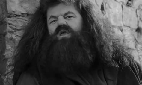 Upečatljiv i jedinstven glumac Preminuo Hagrid iz Hari Potera BL Portal