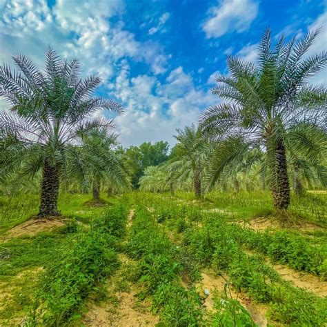 Top 12 Things To Do In Eastern Province Saudi Arabia Your Ultimate