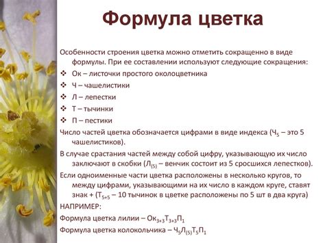 Строение цветка - презентация онлайн