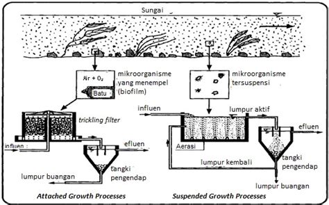 Apa Yang Dimaksud Remediasi Dan Bioremediasi Pada Pencemaran Tanah