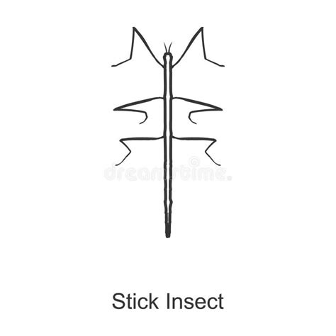 Stick Insect Vector Icon.Cartoon Vector Icon Isolated on White ...