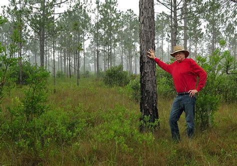 Rewilding the Piney Woods - E.O. Wilson Biodiversity Foundation