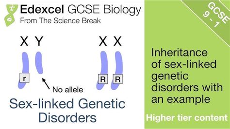 Allele Biology