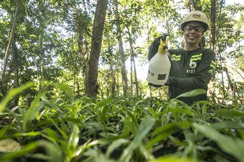 MRN Conquista Selo Ouro Do Programa Brasileiro GHG Protocol IBRAM