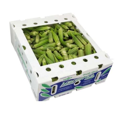 Polypropylene Cardboard Plastic Okra Packing Box Search Okra Boxes