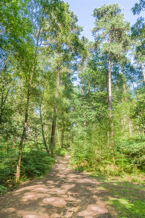 Hurt Wood Ian Capper Cc By Sa Geograph Britain And Ireland