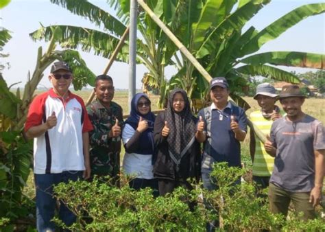 Sering Rusak Tanaman Para Petani DPKP Karawang Bangun Puluhan Rumah