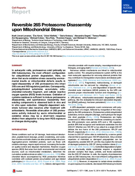 Pdf Reversible 26s Proteasome Disassembly Upon Mitochondrial Stress