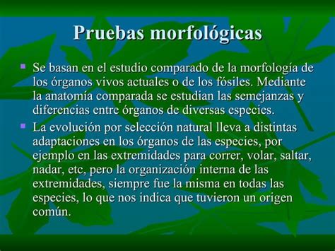 Las pruebas de la evolución pdf