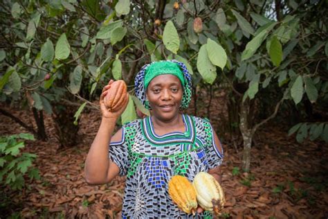 An African farmer. Appreciating culture | by Adedokun Yusuff Abimbola ...