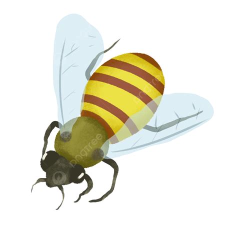 Flying Yellow Bee Fly Yellow Bee Png Transparent Clipart Image And