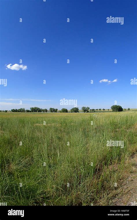 Usfwsmtnprairie 14833899347 Shortgrass Prairie Stock Photo Alamy