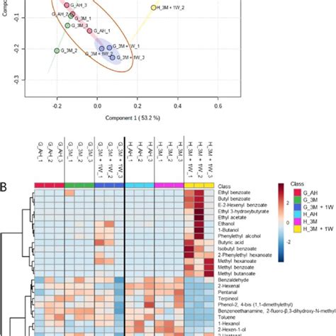 PCA Score Plot A And Heat Map B Of Volatile Compounds VOCs In