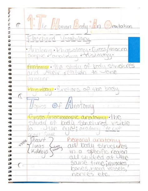 Chapter 1 The Human Body An Orientation - BIOL 1611 - Studocu