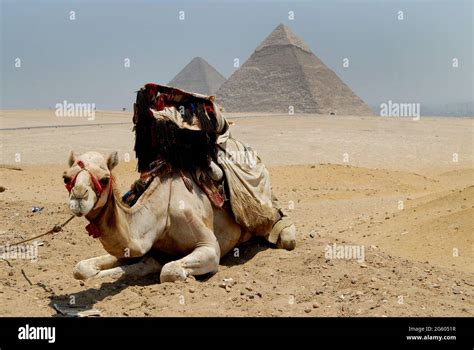 ägyptische pyramiden Fotos und Bildmaterial in hoher Auflösung Alamy