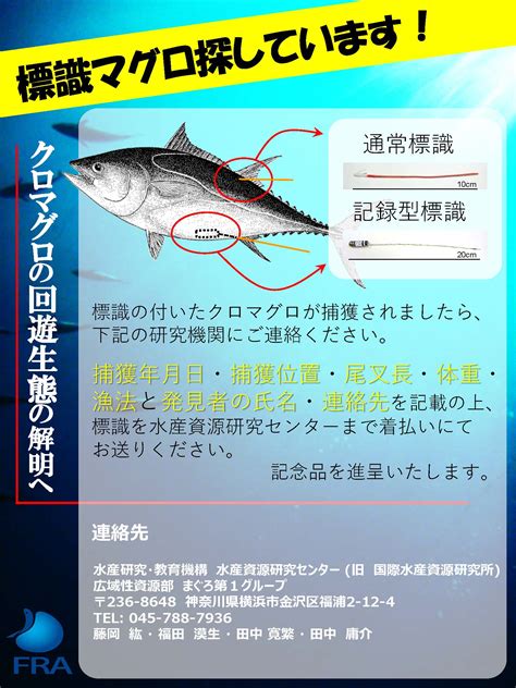 標識（タグ）のついた魚を見つけた方へ 水産研究・教育機構