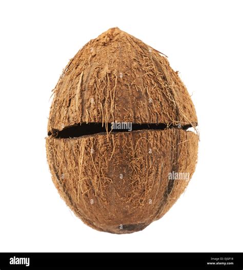 Two Coconut Shell Halves Stock Photo Alamy