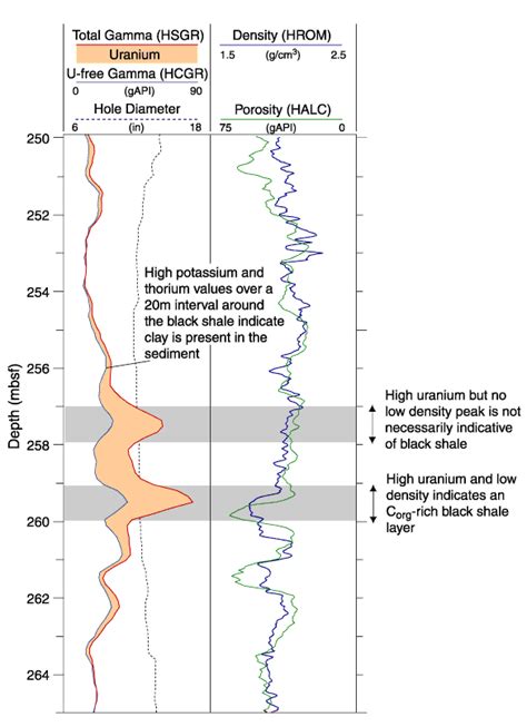 Figure F Detail Of The Gamma Radiation Density And Porosity Logs