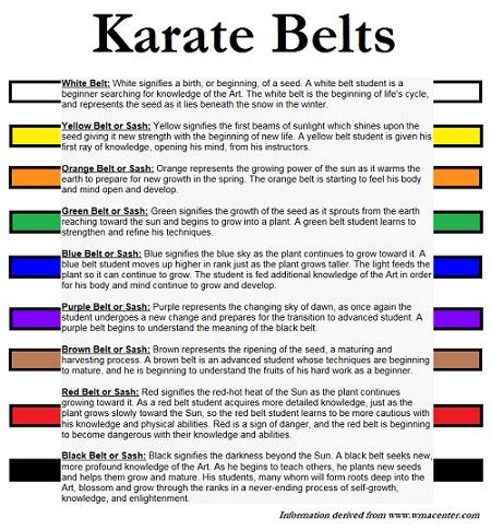 Karate Belt Colors - Effy Moom