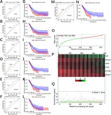 Frontiers Identification Of Key Genes In Lung Adenocarcinoma And