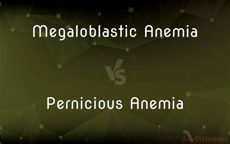 Megaloblastic Anemia Vs Pernicious Anemia — What’s The Difference