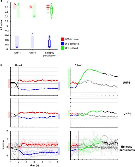 Frontiers Sensorimotor Ecog Signal Features For Bci Control A