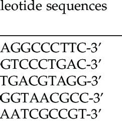 Rapd Primers With Corresponding Bands Scored And Their Size Range