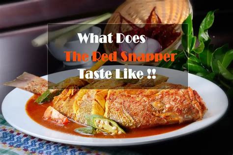 What Does The Red Snapper Taste Like How Cook It