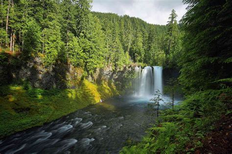 The Ultimate Guide To Willamette National Forest In Oregon