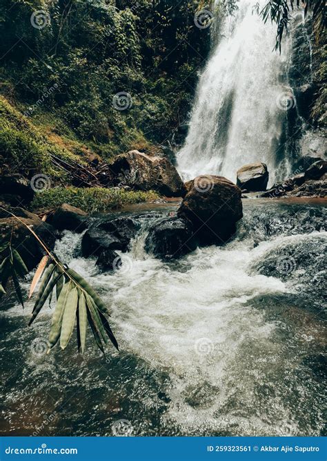 Dazzling Hidden Waterfalls and Streams in the Middle of the Forest