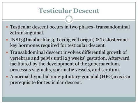 Undescended Testis