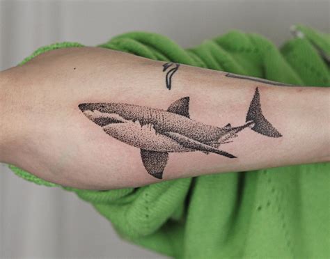 Update More Than Shark Tooth Tattoo Ideas In Cdgdbentre