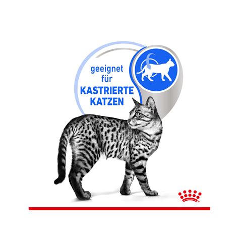 Royal Canin Sterilised Indoor In Gravy Katzen Medpetsde