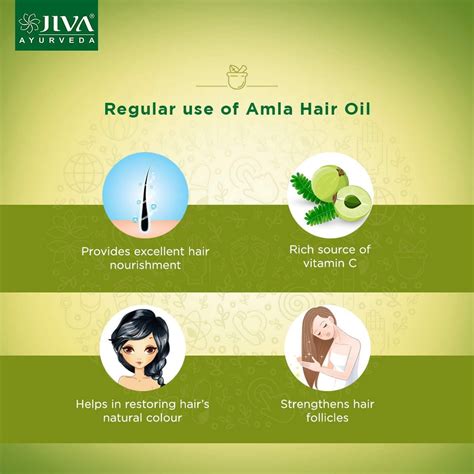 Jiva Ayurveda Amla Hair Oil Ml X Pack Of