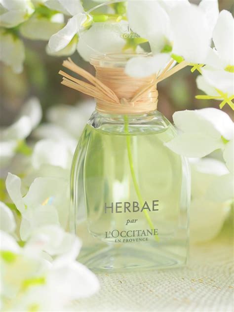 L'Occitane Herbae - the most perfect scent for Spring! - Lovely Girlie Bits