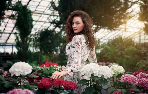 Wallpaper Look Girl Flowers Pose Dress Hydrangea Greenhouse