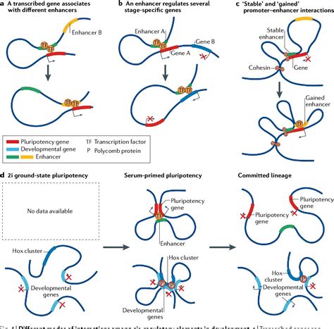 DNA Replication | Semantic Scholar