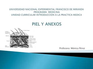 Semiologia De Piel Y Anexos Ppt