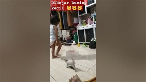 Dikejar Kucing 🐱🐱🐱😀😀😀 Shortvideo Youtube