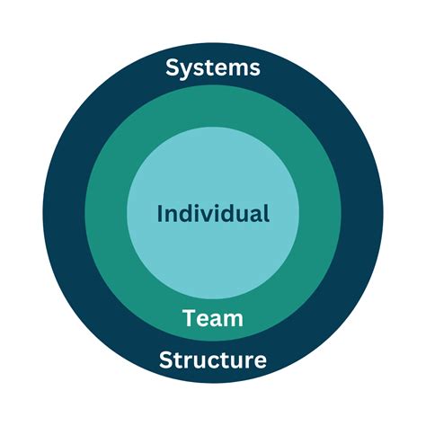 learning organization   resilient organization illuminary