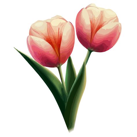 Tulips Flower Icon Png Clipart Free Png