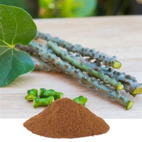 Brown Tinospora Cordifolia Extract Packaging Type Polybag Pack Size