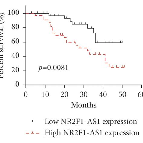 Nr2f1 As1 Was Expressed At A High Level In Bc Tissues And Cell Lines