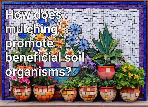 How does mulching promote beneficial soil organisms? – Gardening.Gov ...