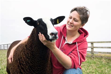 Zoetis Animal Health Global Animal Health Company Zoetis