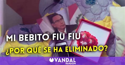 Mi Bebito Fiu Fiu ¿por Qué Se Ha Borrado La Canción Viral El