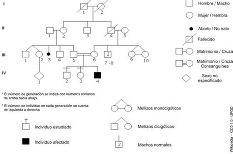 Noveno Moralba Nomenclatura GenÉtica