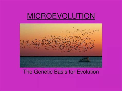 Ppt Microevolution Powerpoint Presentation Free Download Id6031981